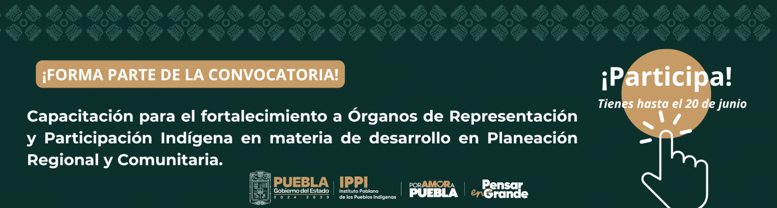 Convocatoria 2025 DOR