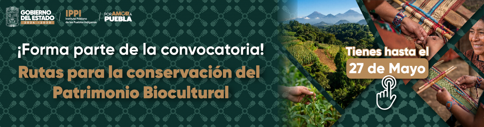 Convocatoria 2026 DDII