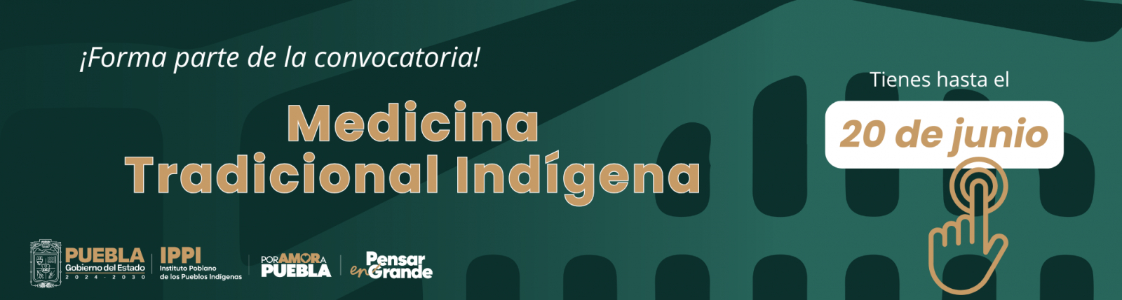 Convocatoria 2025 DPCIEE 1