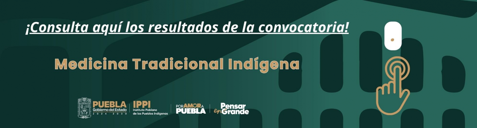 Convocatoria 2025 DPCIEE 1 Resultados