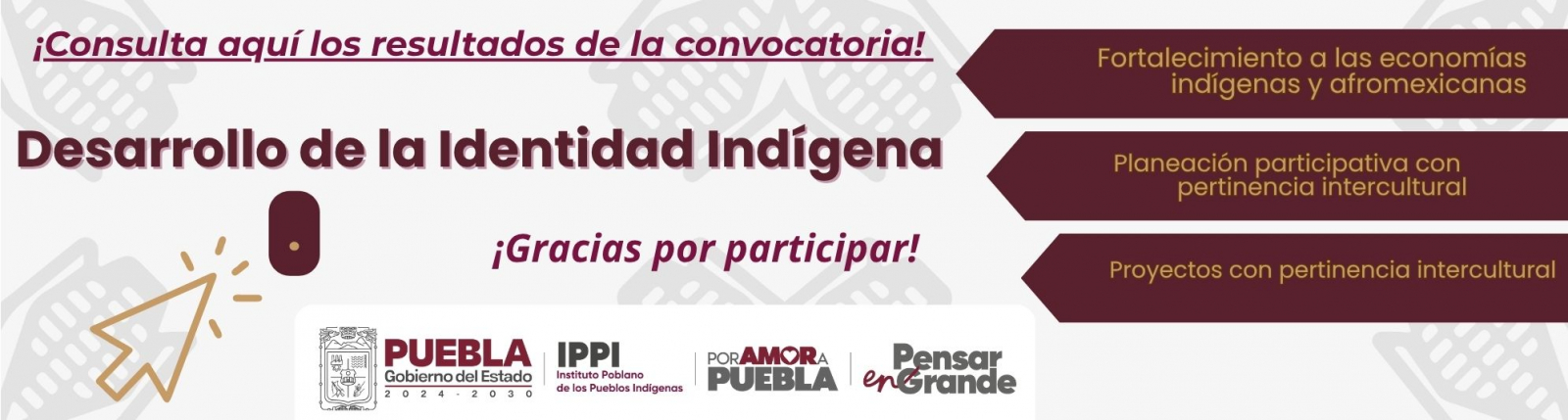 Convocatoria 2025 DDII Resultados
