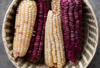 Culto al maíz