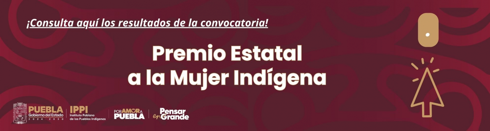 Convocatoria 2025 DPCIEE 2 Resultados