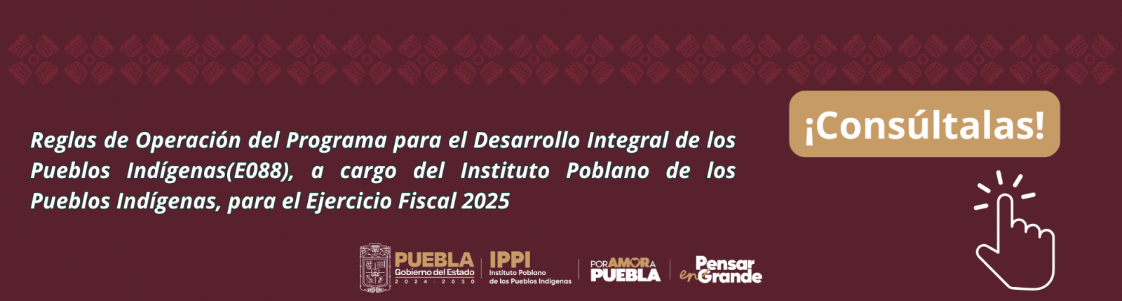Reglas de Operación 2025